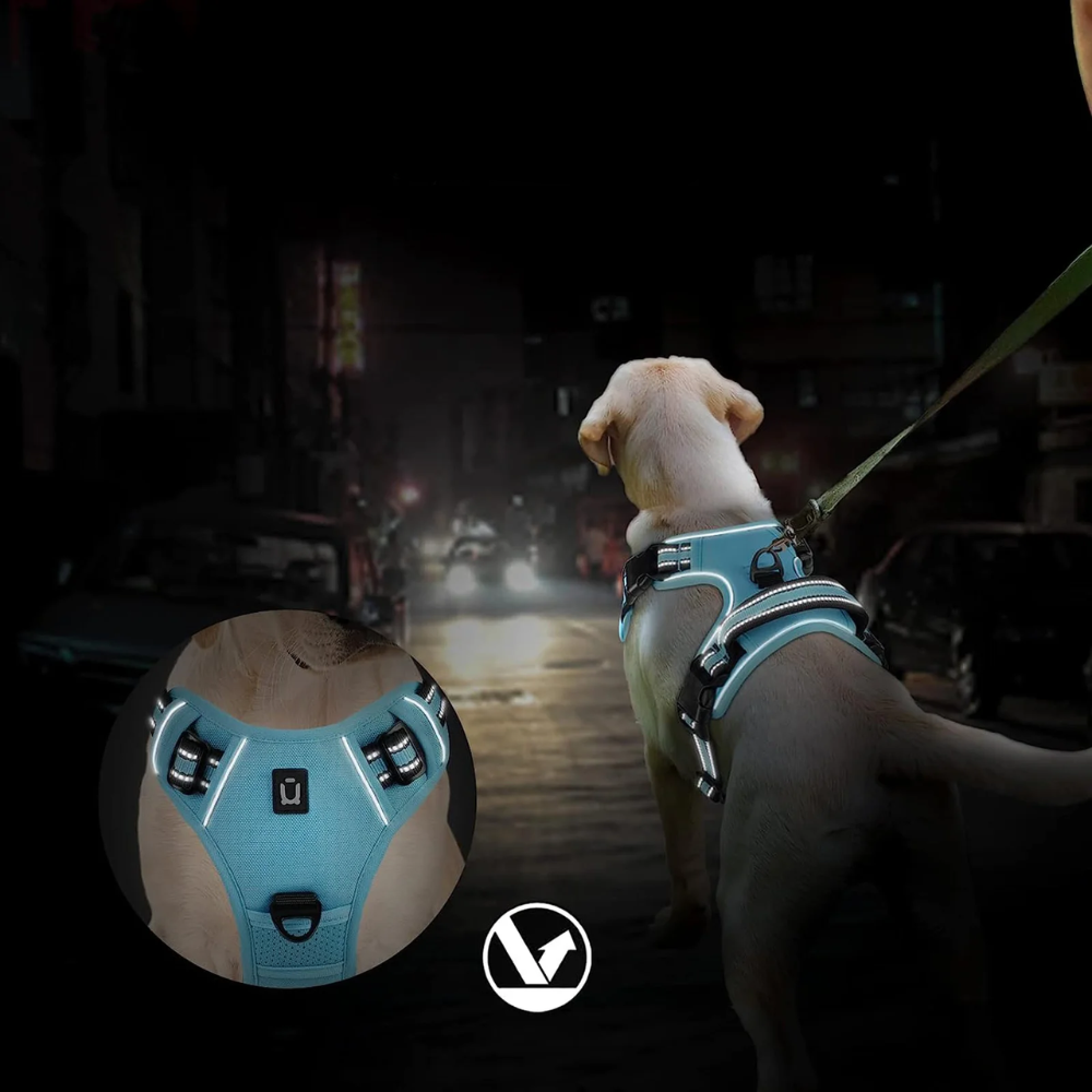 Harnais Confort Anti-traction pour Chien