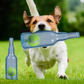 Jouet à mâcher bouteille avec balle pour chien – Amusement & anti-stress
